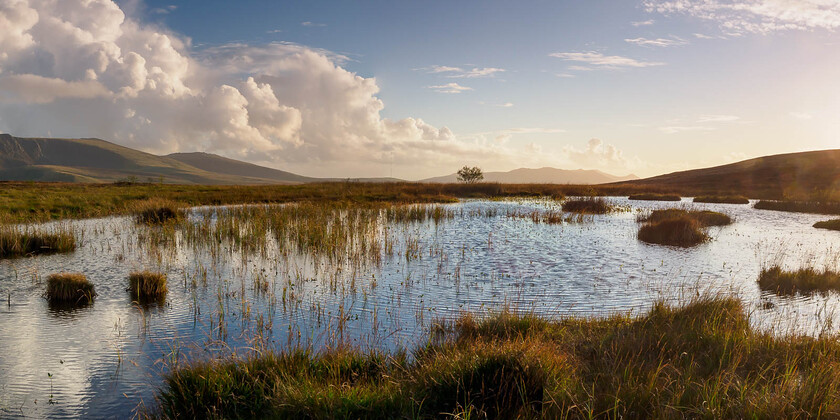 9270323-Pano 
 Llyn Ffynhonnau, Eryri (Near Nantlle)