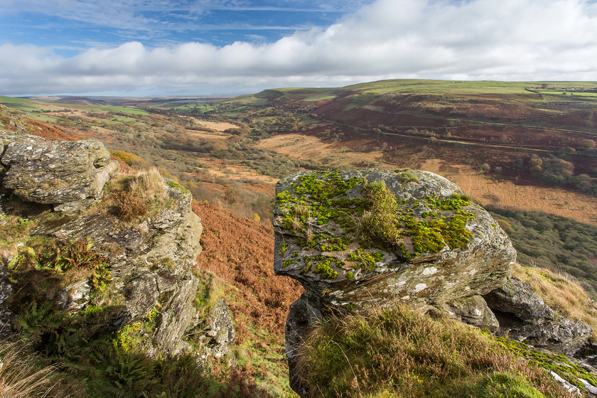 MG 6288 
 Cwm Bargoed, near Merthyr Tydfil