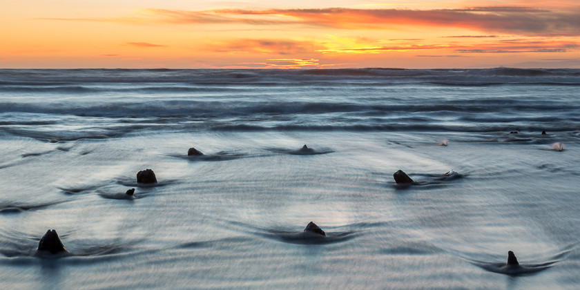 04A9739 
 Submerged forest, Ynyslas, Ceredigion