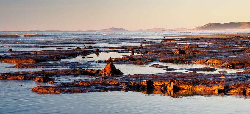 C190018-Pano 
 Submerged forest, Borth/Ynyslas, Ceredigion