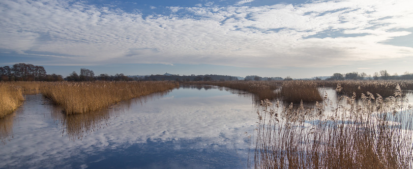 MG 1966 
 Reedbeds, Avalon Marshes, Somerset