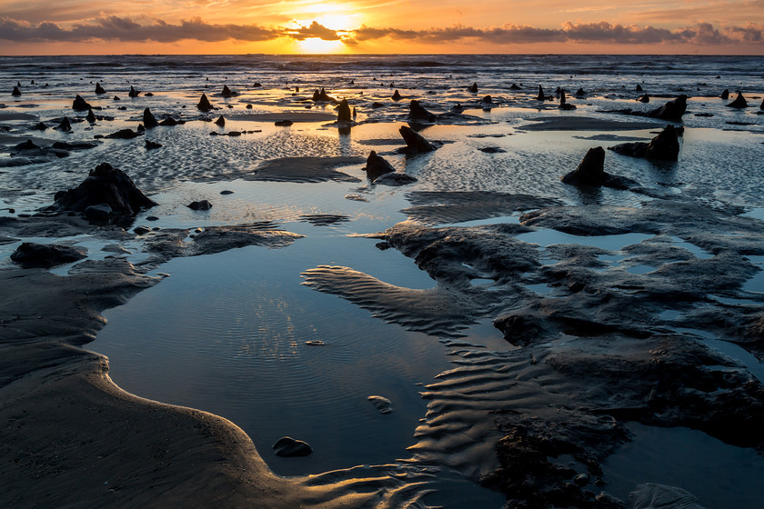 04A9412 
 Submerged forest, Borth, Ceredigion