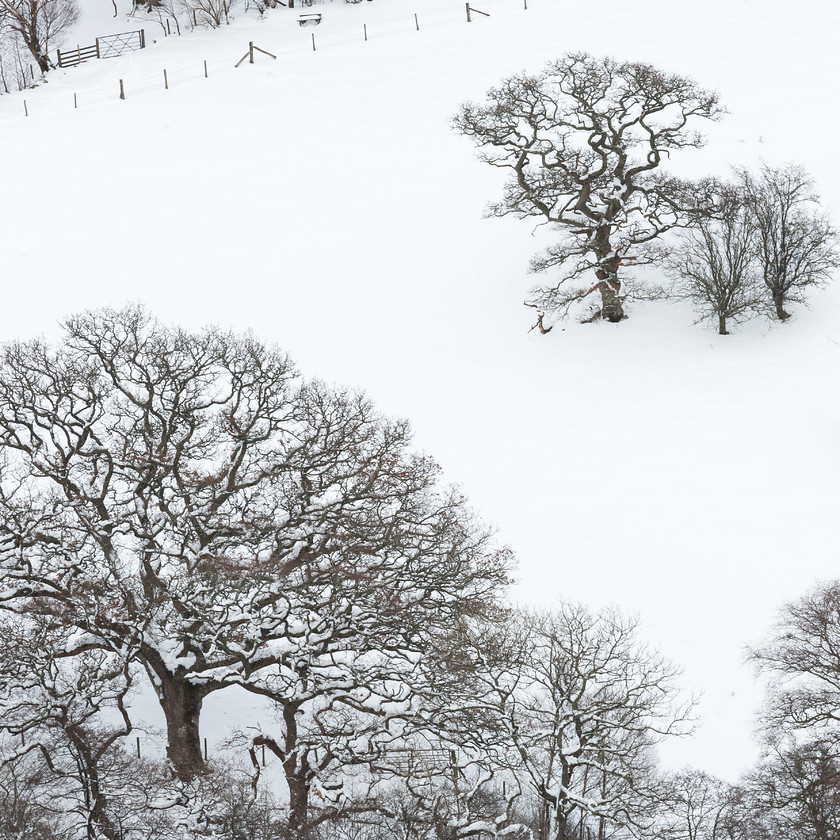 04A4315 
 Marteg valley, near Rhayader