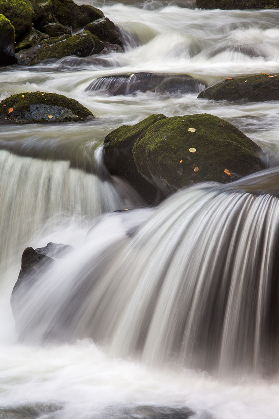 04A6793-2 
 Torrent Walk/ Afon Tryweryn, near Dolgellau