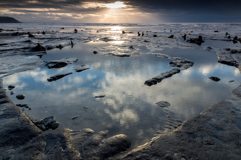 04A8630 
 Submerged forest, Borth