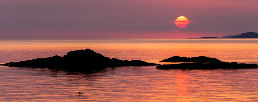 MG 7608 
 Sunset with great northern diver, Arisaig, west Highlands