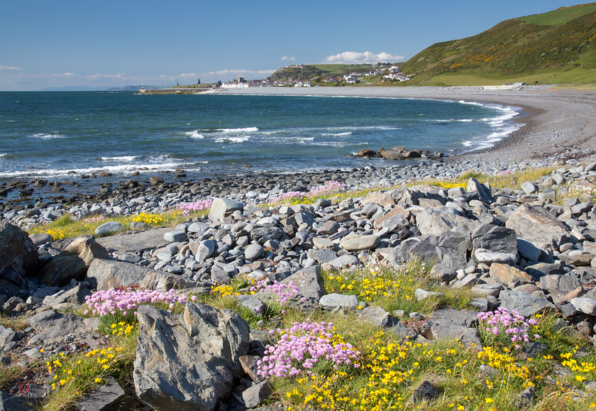 04A1941 
 Tan-y-bwlch beach, Aberystwyth