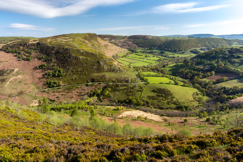 MG 2423 
 Marteg Valley, near Rhayader