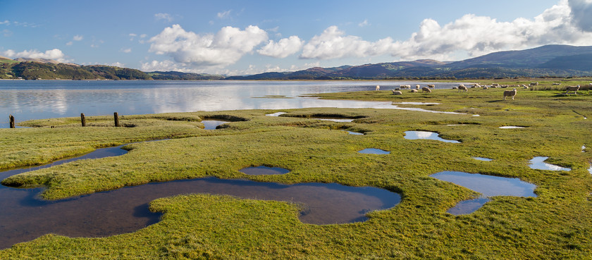 MG 6054 
 Dyfi saltmarsh panorama, Ceredigion