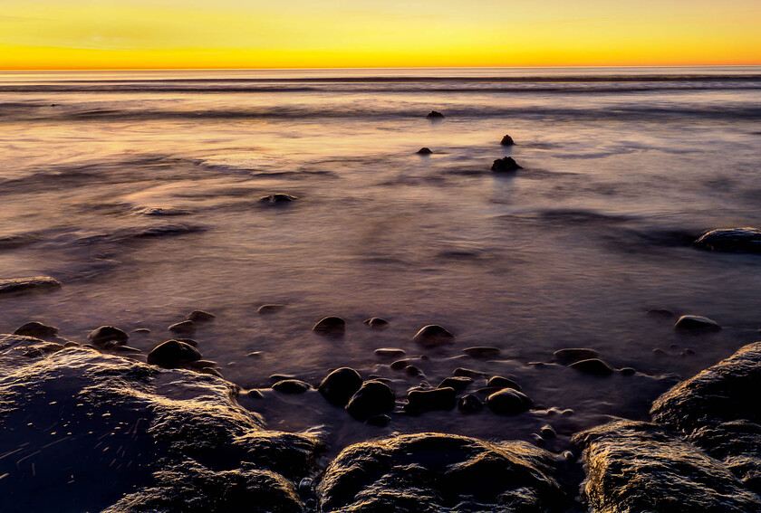 C190050 
 Submerged forest, Borth/Ynyslas, north Ceredigion