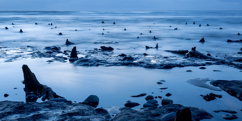 04A8619 
 The submerged forest, Borth, Ceredigion