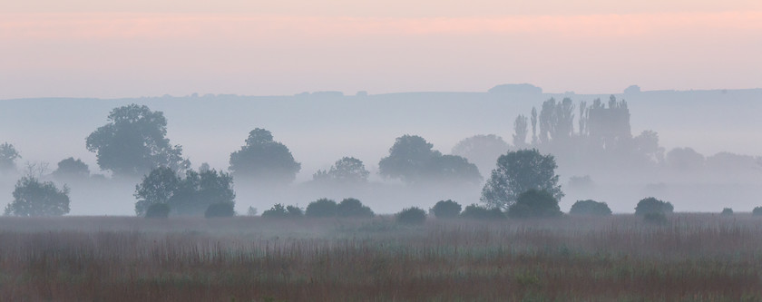 04A1777 
 Dawn, Somerset Levels