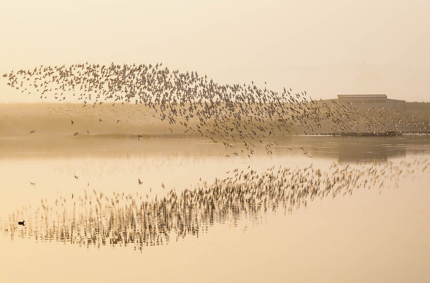 A090763 
 Snettisham, Norfolk